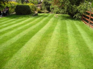 lawn-striping-small-lines1